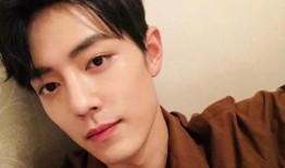 王濛爆料肖战了吗视频下载,揭秘背后真相